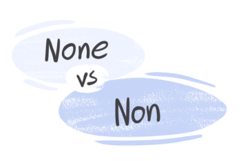 "None" vs. "Non" in the English Grammar