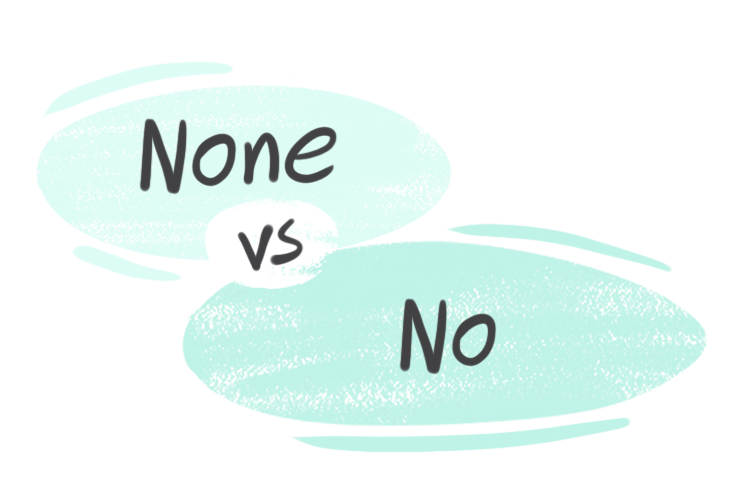 "None" vs. "No" in the English Grammar