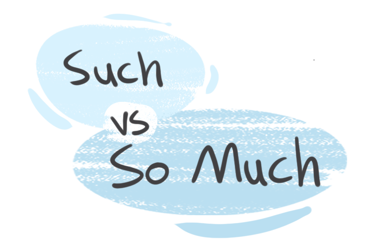 "Such" vs. "So Much" in the English Grammar