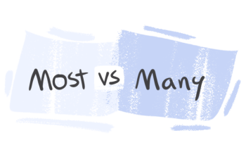 "Most" vs. "Many" in English Grammar