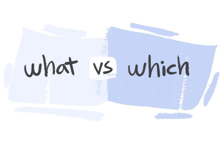 Difference Between Which and What  Compare the Difference Between Similar  Terms