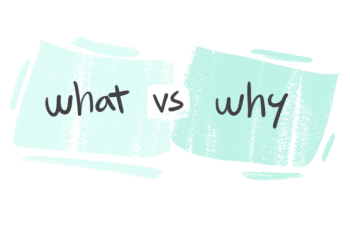 "What" vs. "Why" in the English Grammar