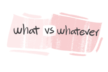 "What" vs. "Whatever" in the English Grammar