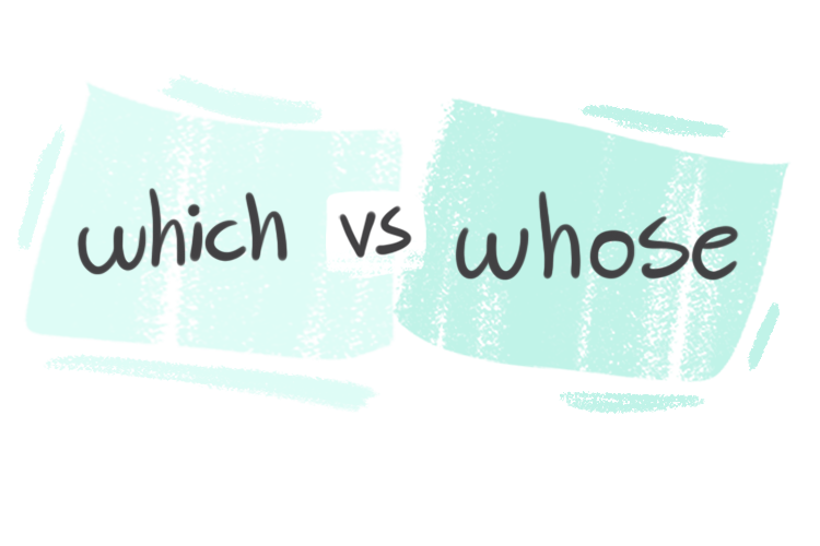 "Which" vs. "Whose" in the English Grammar