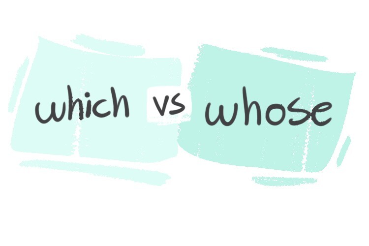  Which Vs Whose In The English Grammar LanGeek