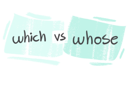 "Which" vs. "Whose" in the English Grammar