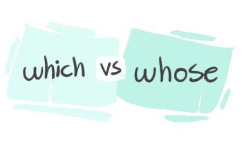 "Which" vs. "Whose" in the English Grammar