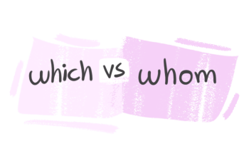 "Which" vs. "Whom" in the English Grammar