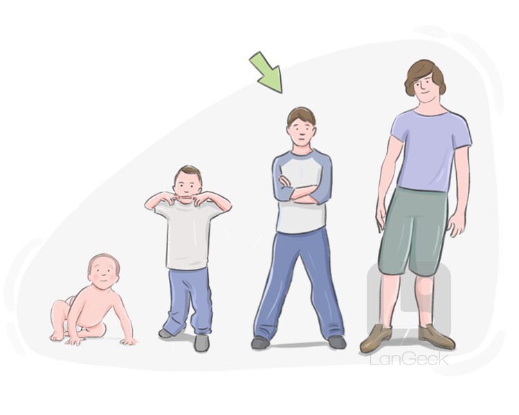 Definition & Meaning of "Tween" LanGeek