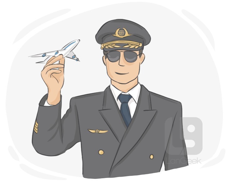 pilot definition and meaning