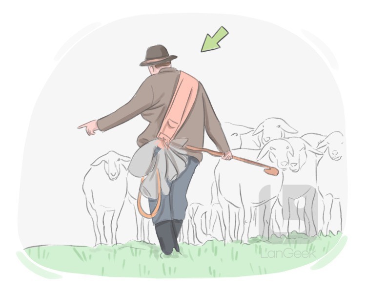 sheepherder definition and meaning