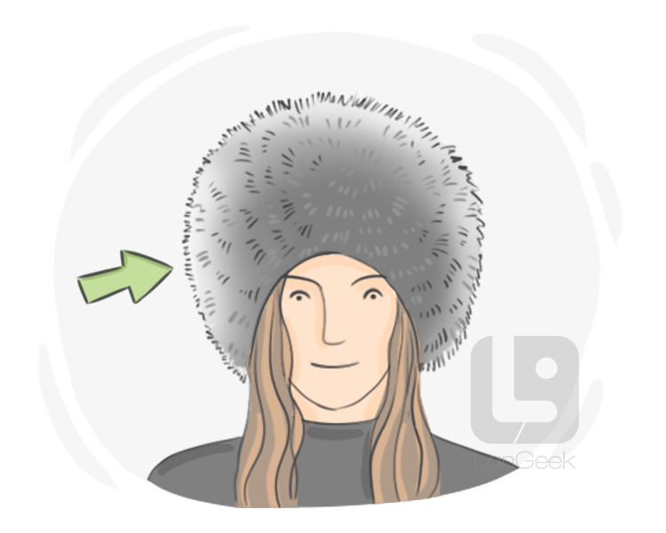 fur hat definition and meaning