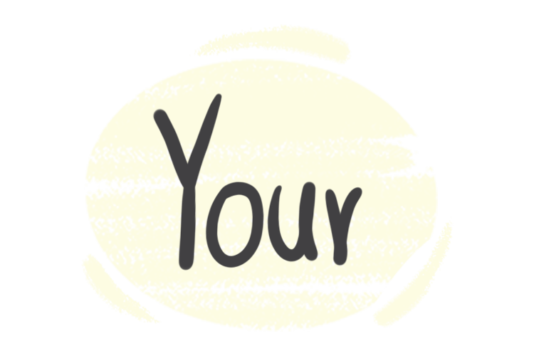 How to Use "Your" in the English Grammar