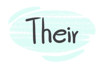 The Determiner "Their" in the English Grammar