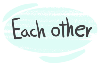 The Pronoun "Each Other" in the English Grammar
