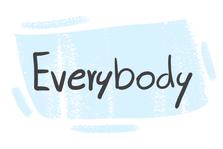 How to Use "Everybody" in the English Grammar