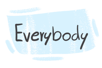 How to Use "Everybody" in the English Grammar