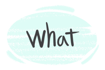 How to Use "What" in the English Grammar