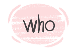 How to Use "Who" in the English Grammar