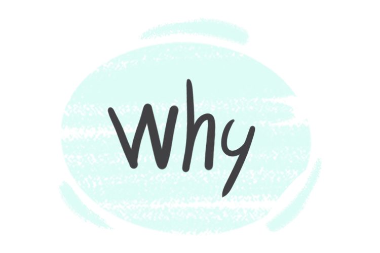 How to Use "Why" in the English Grammar