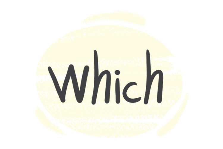 How to Use "Which" in the English Grammar