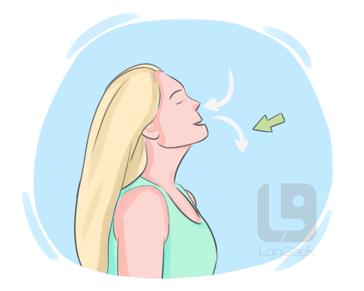 exhalation definition and meaning