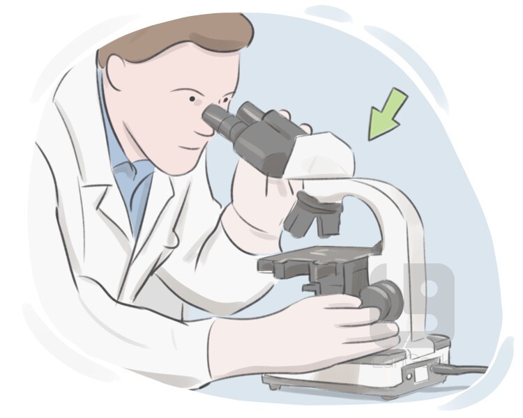 microscope definition and meaning