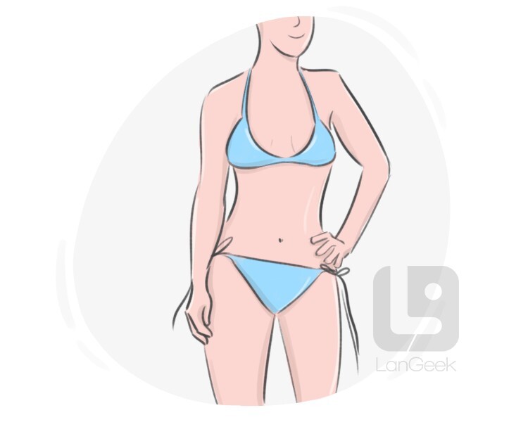 swimsuit - photo/picture definition at Photo Dictionary - swimsuit word and  phrase defined by its image in jpg/jpeg in English