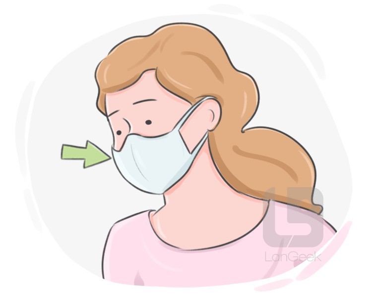 surgical mask definition and meaning