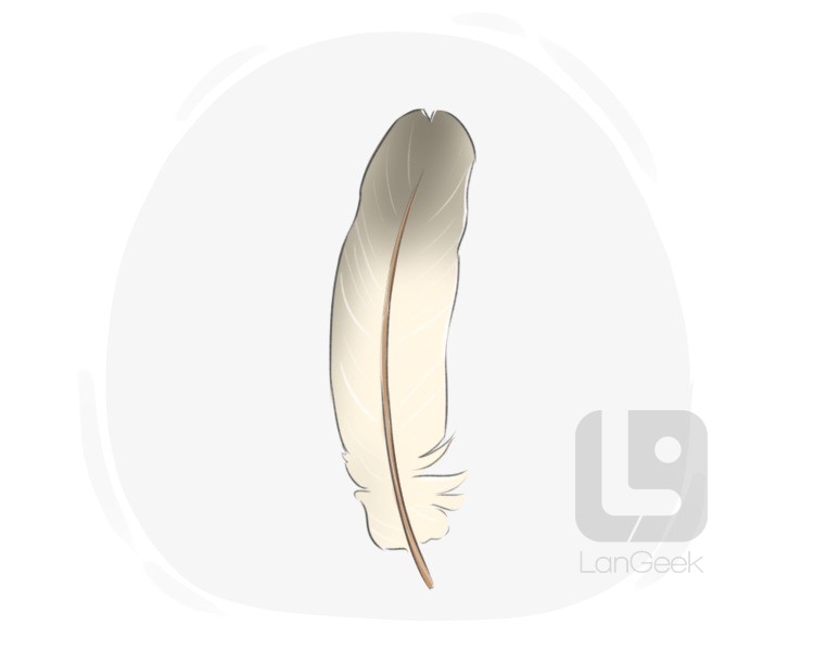 feather definition and meaning