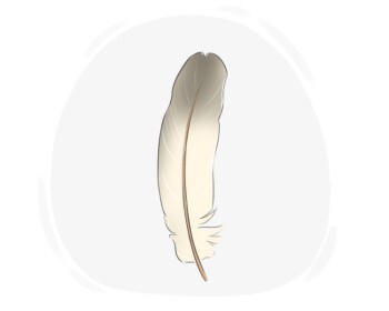 feather