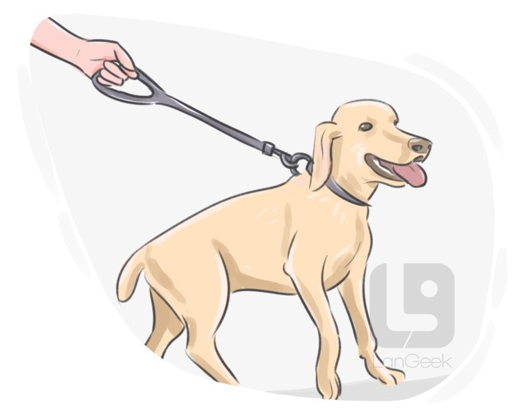 leash definition and meaning