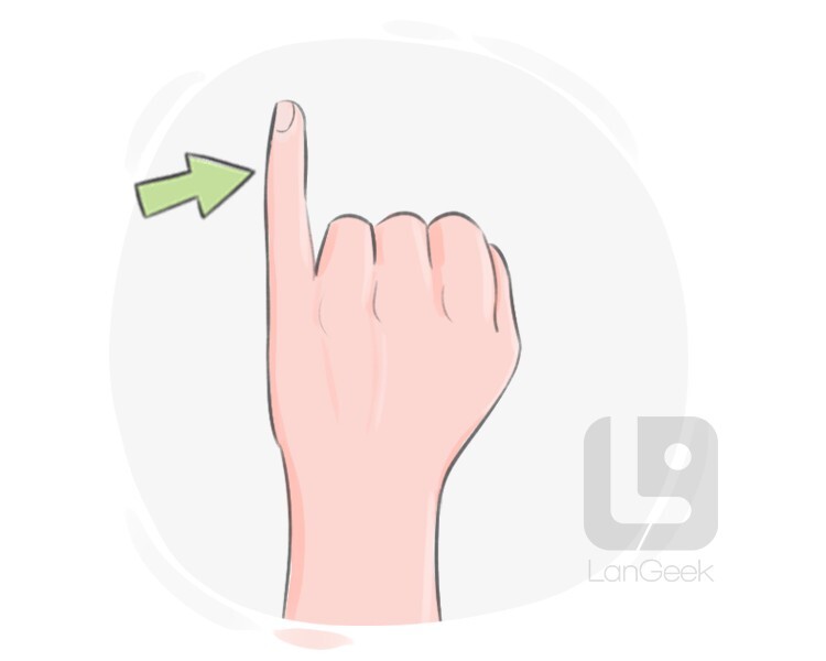 Definition & Meaning of "Little finger" LanGeek