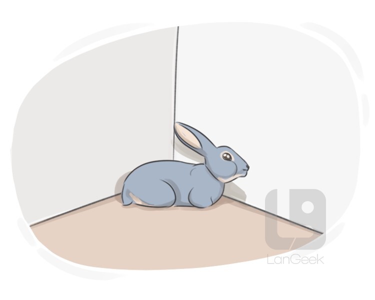 corner