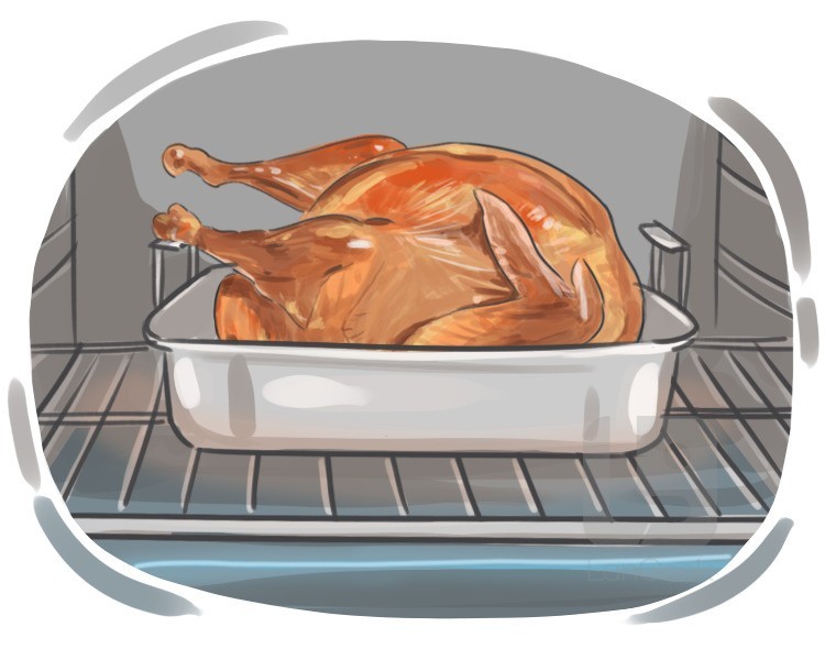 broiler definition and meaning