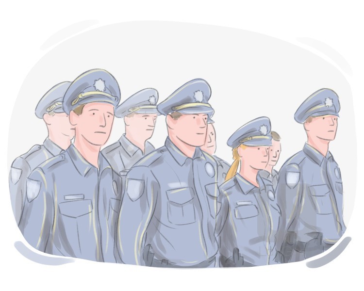 police force definition and meaning