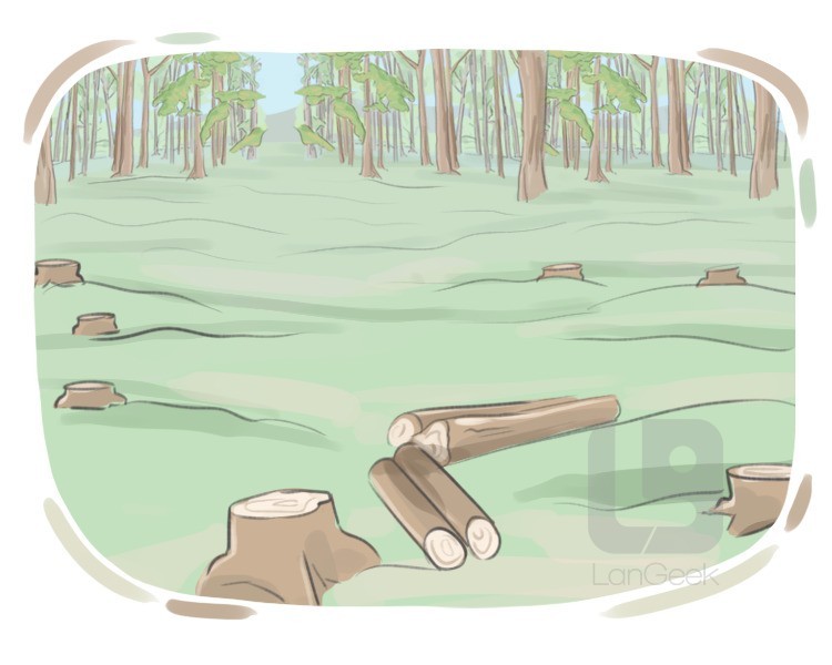 deforestation definition and meaning