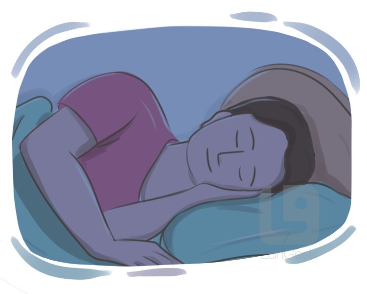 sleep-in-idioms-online