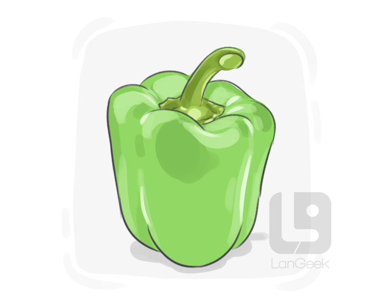 bell pepper definition and meaning
