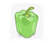green pepper