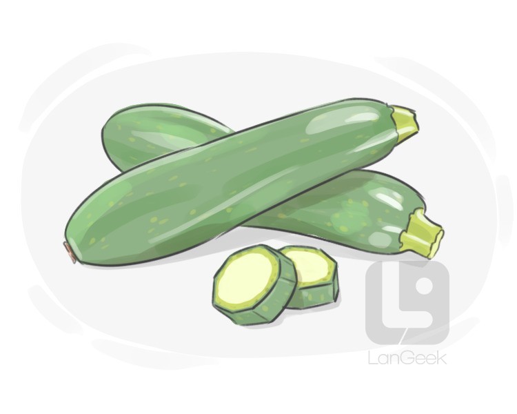 courgette definition and meaning