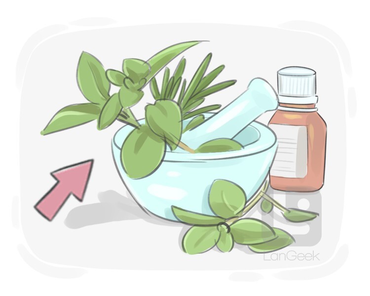 Definition & Meaning of "Herb" LanGeek