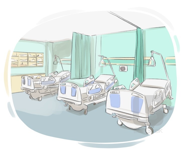 hospital ward definition and meaning