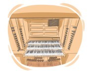 organ