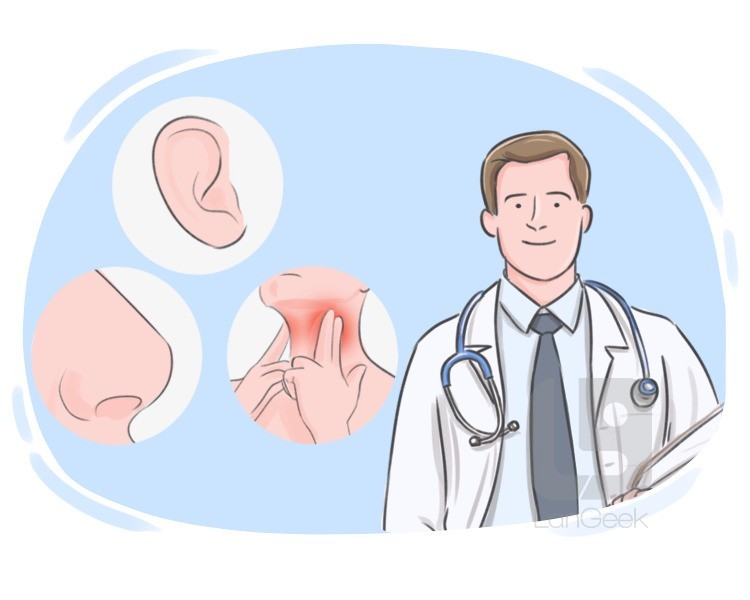 ear-nose-and-throat doctor definition and meaning