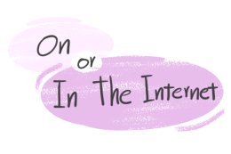 "On" or "In The Internet" in the English grammar