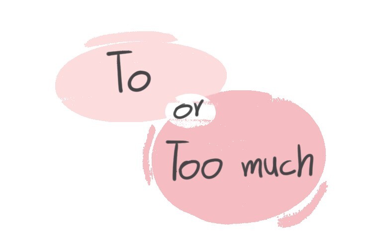  To Or Too Much In The English Grammar LanGeek