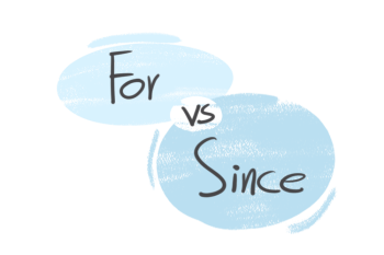 "For" vs. "Since" in the English grammar