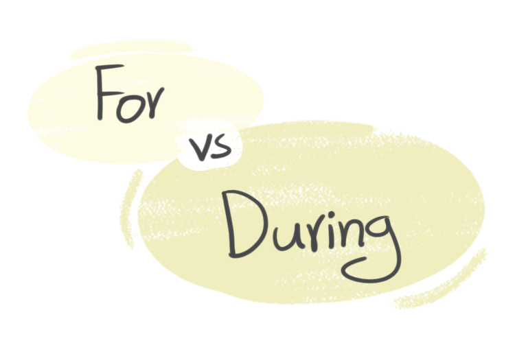 "For" vs. "During" in the English grammar