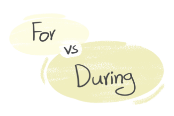 "For" vs. "During" in the English grammar